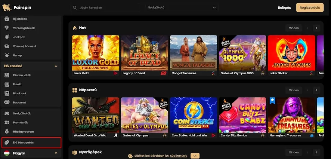 Segítségkérés és hibabejelentés Ügyfélszolgálat és technikai támogatás illusztrációja